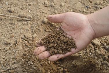 Dzięki wieloletniej wsp&oacute;łpracy z krajowymi i zagranicznymi dostawcami, swoim Klientom oferujemy najlepsze i najnowocześniejsze produkty. Posiadamy dużą bazę magazynową i sprawnie funkcjonujący dział logistyki. Nasza dynamiczna załoga zapewnia naszym odbiorcom profesjonalną obsługę. 

Organizujemy konferencje ogrodnicze, zjazdy oraz szkolenia dla Klient&oacute;w. 

Serdecznie Zapraszamy do wsp&oacute;łpracy: Producent&oacute;w, Ogrodnik&oacute;w, Szk&oacute;łkarzy, Rolnik&oacute;w, Branżowe firmy usługowe, Hurtownie i Sklepy ogrodnicze oraz oczywiście Klient&oacute;w detalicznych.
